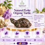 Natural Pyrite Orgone Turtle – Prosperity, Protection, Stability & Positive Energy