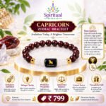 Capricorn Zodiac Bracelet – Ambition Today, A Brighter Tomorrow